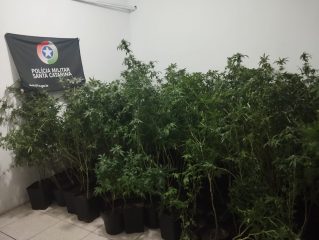 Foto: Polícia Militar/Divulgação