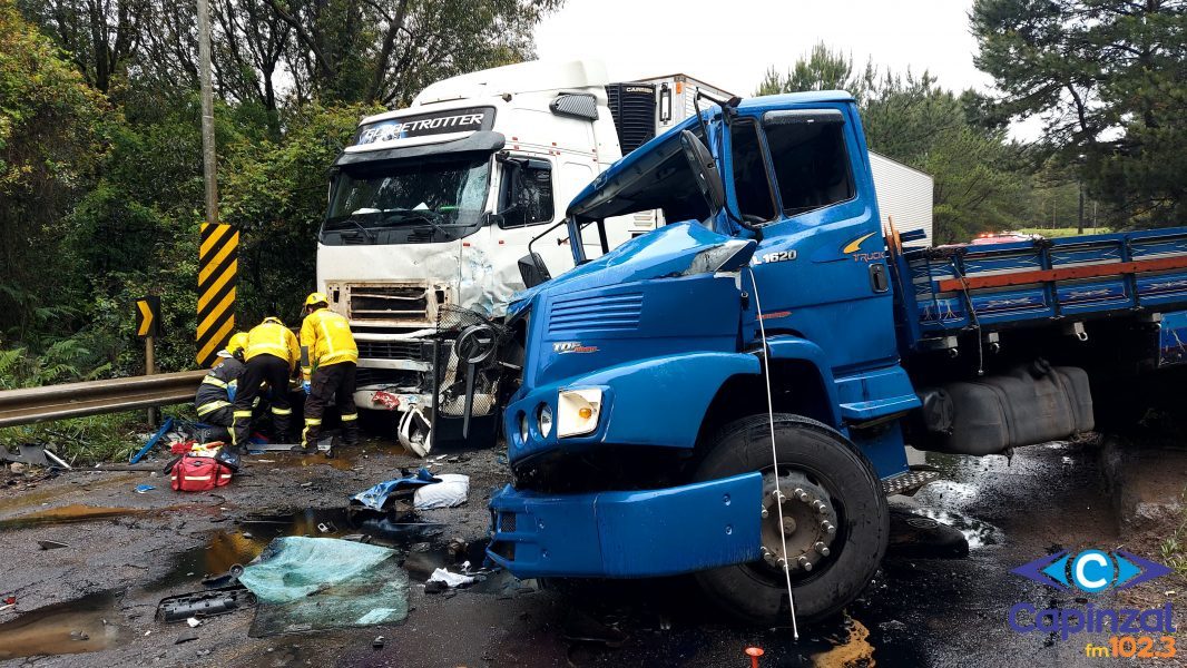 Caminhões a diesel em Santa Catarina