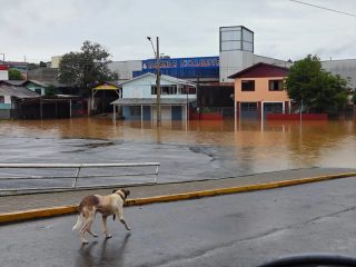 Divulgação Prefeitura de Caçador