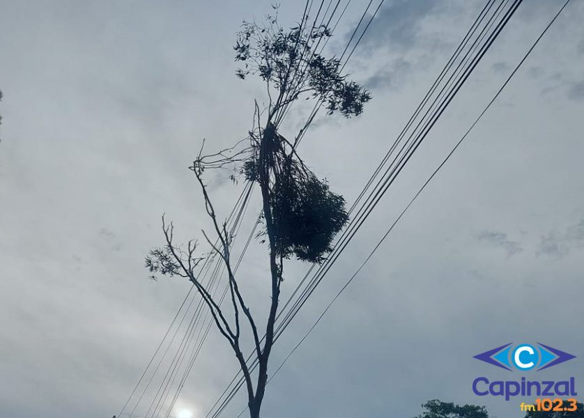 Força do vento danifica rede elétrica e deixa mais de 200 unidades consumidoras sem energia no interior de Capinzal