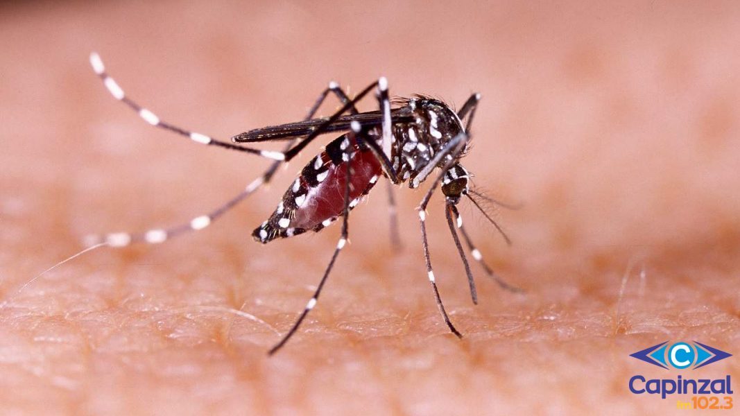 Caso de suspeita de Dengue é registrado no município de Ouro