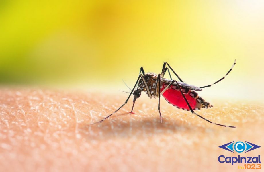 Município de Ouro monitora novo caso suspeito da Dengue