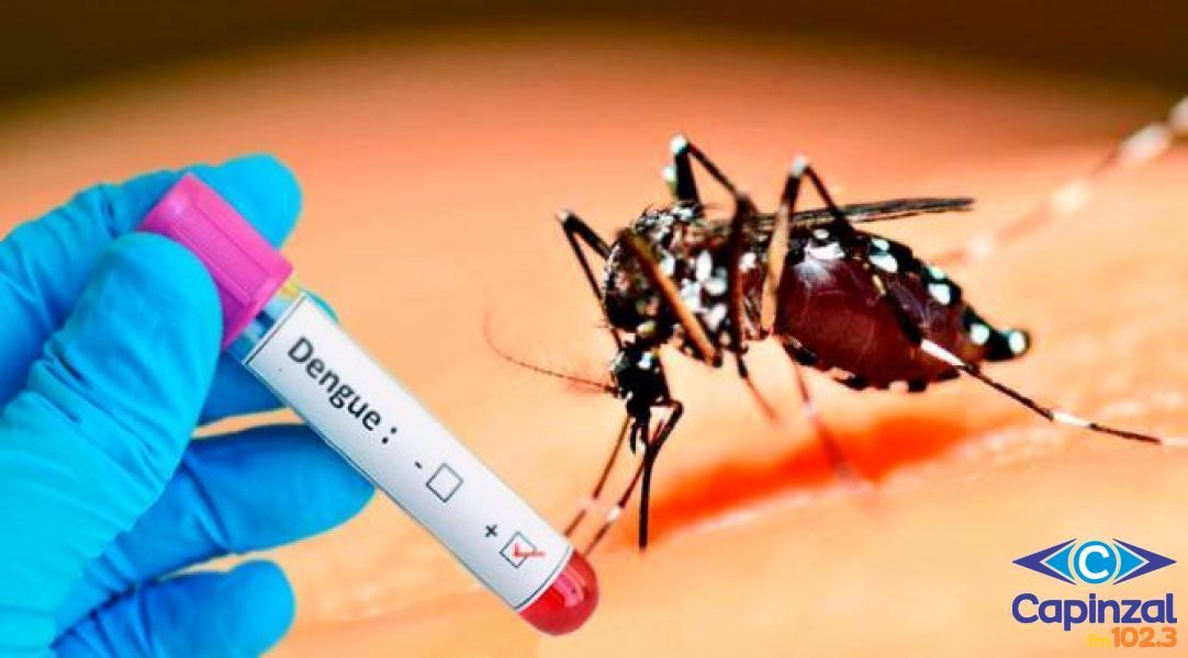 Confirmado 3 casos autóctones de dengue em Capinzal