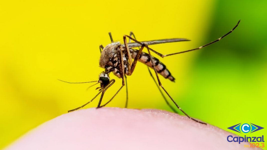 Saúde de Capinzal promove encontro para planejar grande mobilização em combate à dengue
