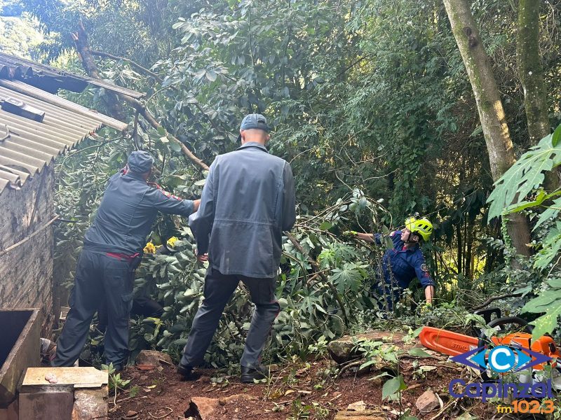 Bombeiros realizam corte de galho de árvore que caiu sobre residência em Capinzal
