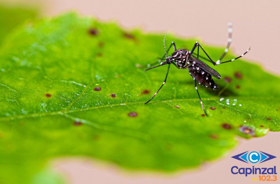 Sobe para 7 o número de casos da dengue no município de Ouro