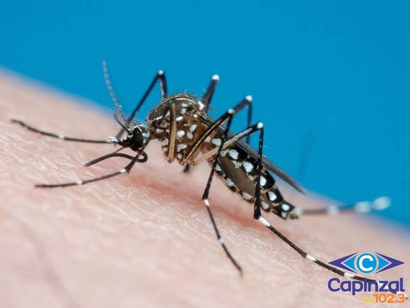 Situação agravante: Capinzal ultrapassa 160 casos de dengue