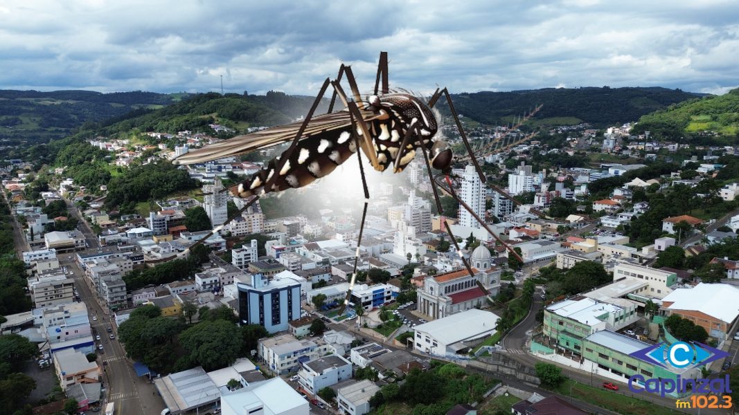 Capinzal atinge 257 casos de Dengue
