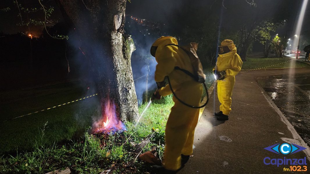 Corpo de Bombeiros extermina ninho de vespas próximo a creche em Capinzal