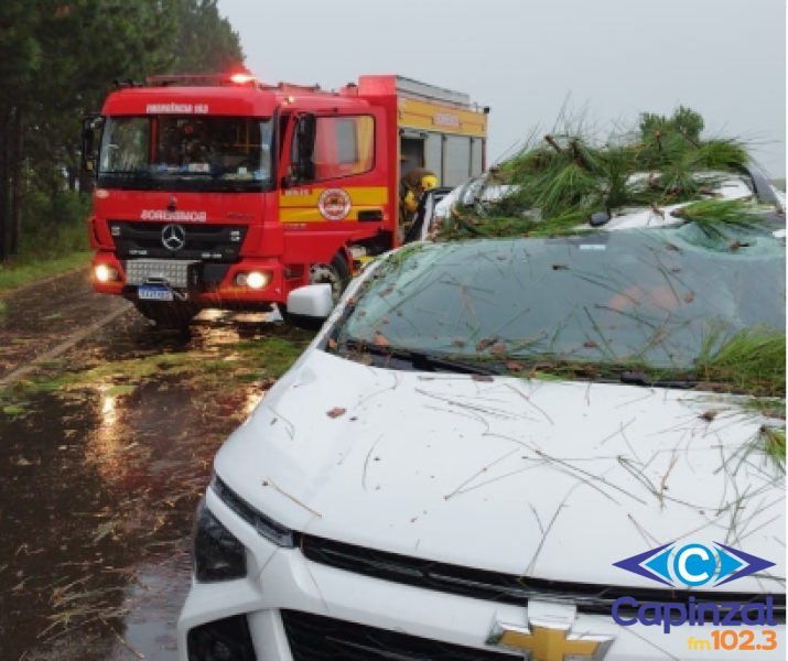 Temporal provoca queda de árvore sobre veículo da Secretaria da Saúde na BR-282 em Campos Novos