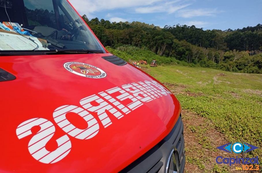 Idoso morre após ser atingido enquanto cortava lenha