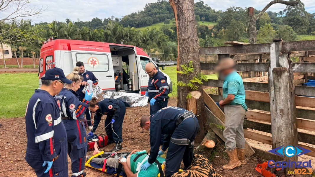 Idoso fica gravemente ferido após ser atingido por árvore em SC
