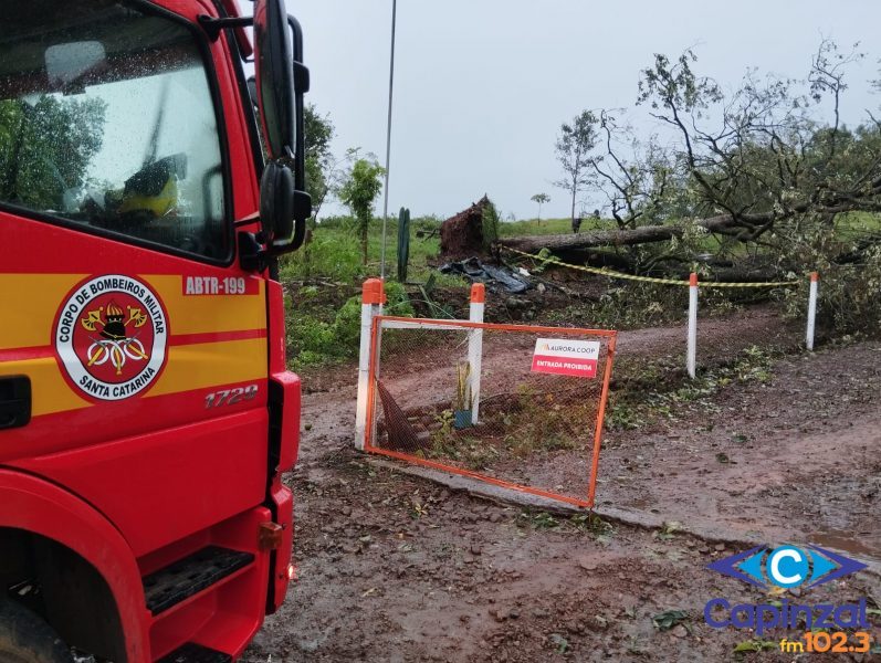 Homem morre atingido por árvore durante temporal