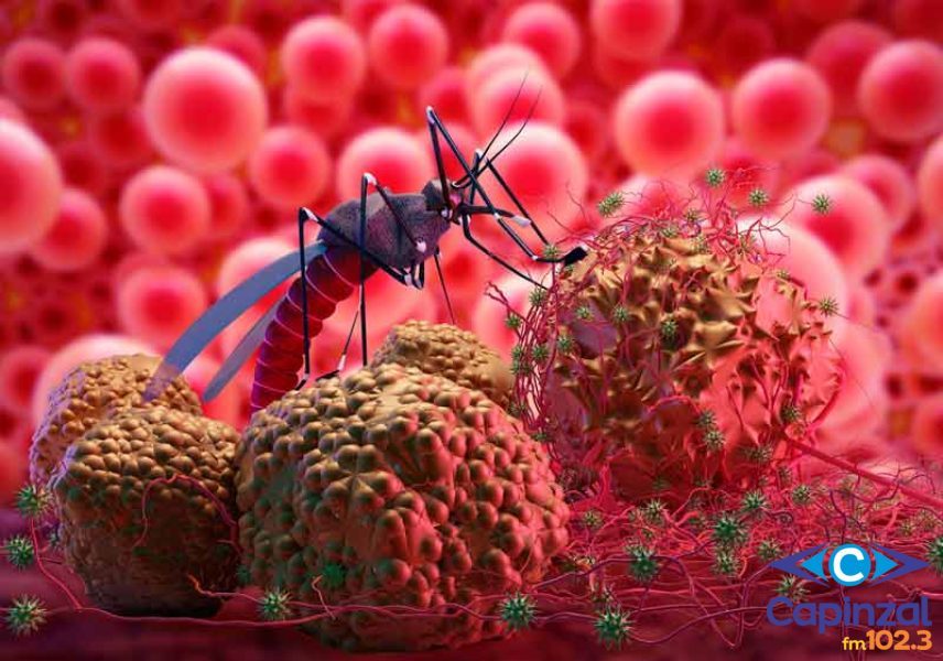 Com 45 casos confirmados, Capinzal realiza fumacê nesta terça-feira na área central para conter avanço da dengue
