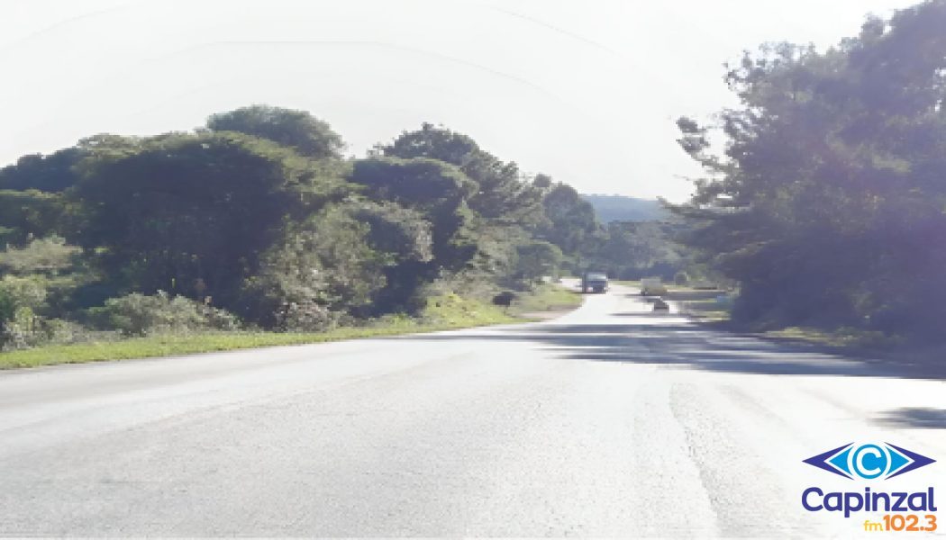 MPSC instaura inquérito para apurar falhas na fiscalização de obras da SC-350 entre Caçador e Lebon Régis após elevado número de acidentes