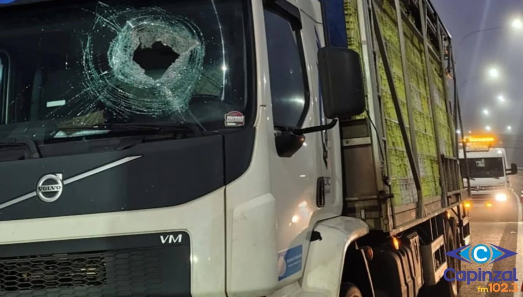 Caminhoneiro morre após ser atingido por pedra na BR-386