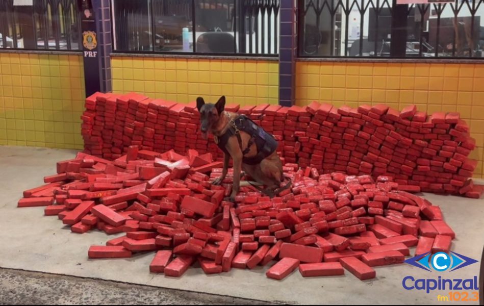 Ação integrada apreende mais de meia tonelada de maconha escondida em pneus de carreta na BR-153 em Irani