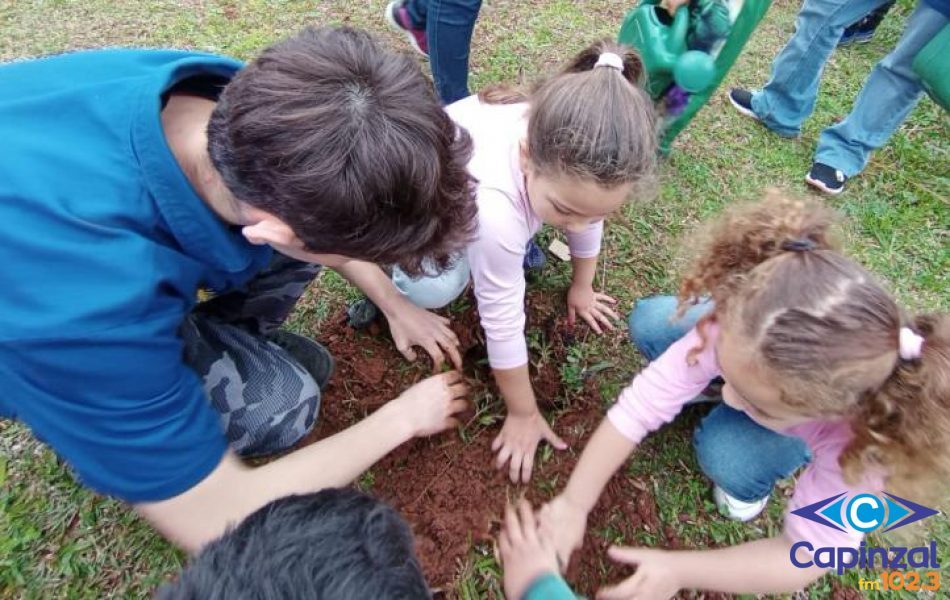 Irani doa 100 mudas de árvores nativas para cinco escolas municipais de Joaçaba