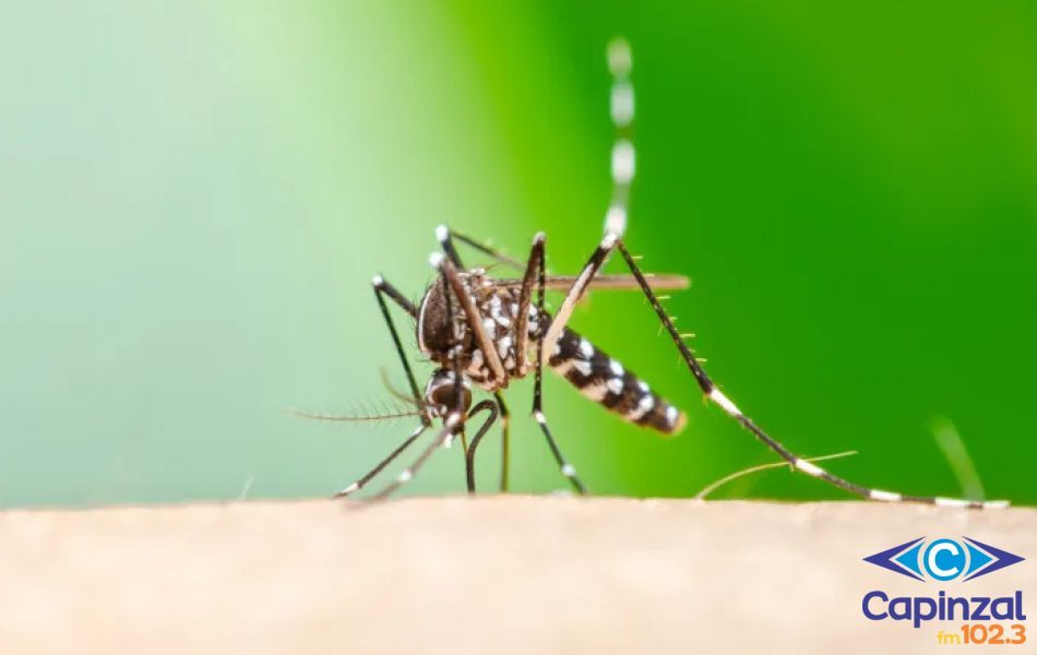 Joaçaba confirma o primeiro caso de Chikungunya neste ano