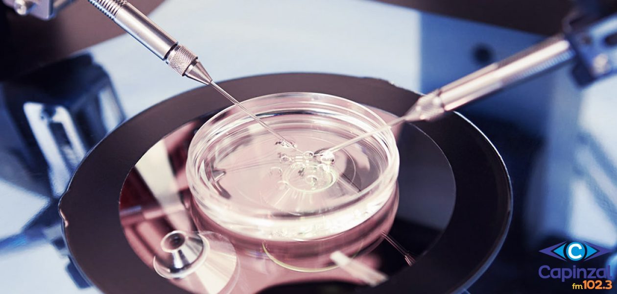 Justiça garante a paciente de Chapecó o direito à fertilização in vitro pelo SUS