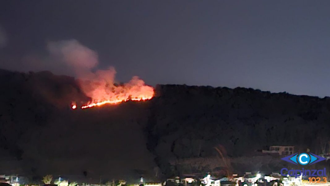 Incêndio em vegetação mobiliza Corpo de Bombeiros em Capinzal