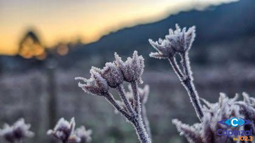 Defesa Civil emite alerta para declínio acentuado das temperaturas em SC