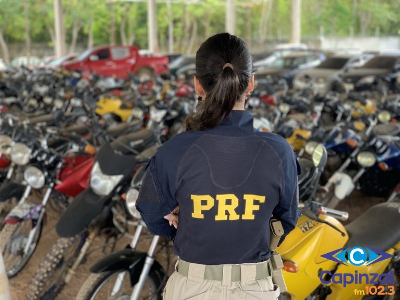 PRF promove leilão de mais de 2 mil veículos apreendidos ou abandonados em rodovias federais de SC