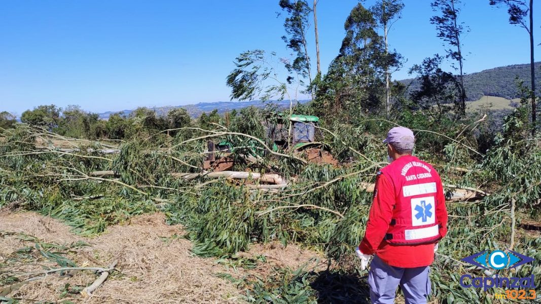 Tragédia em Irani: Idoso morre após ser atingido por árvore durante trabalho