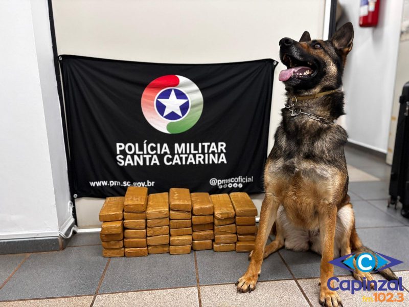 Operação Boa Viagem: Adolescente é apreendido com 20 kg de maconha em ônibus interestadual em Xanxerê