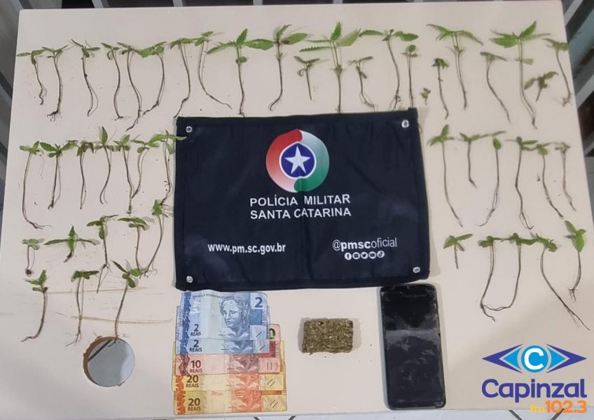 Polícia Militar prende homem em flagrante por tráfico de drogas em Fraiburgo