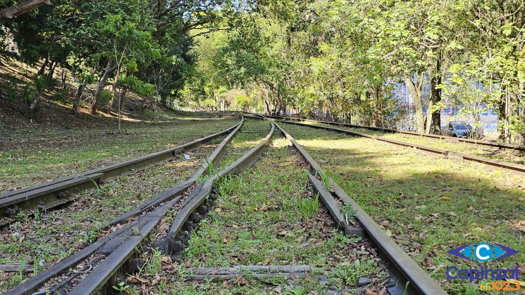 Estação Ferroviária de Capinzal celebra 115 anos com roda de conversa sobre história, memórias e legado da ferrovia