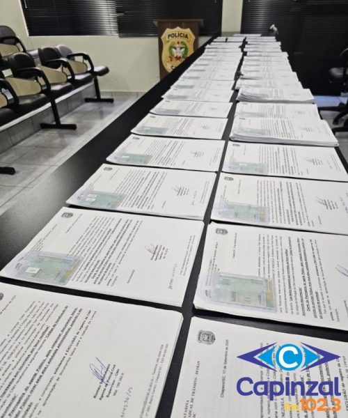 Polícia Civil de Chapecó investiga mais de 120 fraudes em validação de CNHs