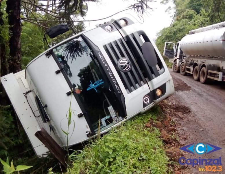Caminhão carregado com suínos sai da pista e tomba no interior de Ouro
