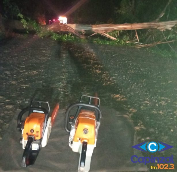 Temporal com vento e granizo provoca destelhamentos e queda de árvore no Meio-Oeste de SC