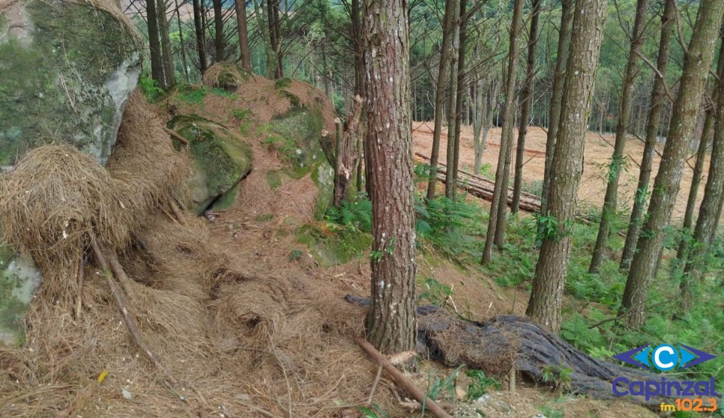 Corpo é encontrado em estado avançado de decomposição na região