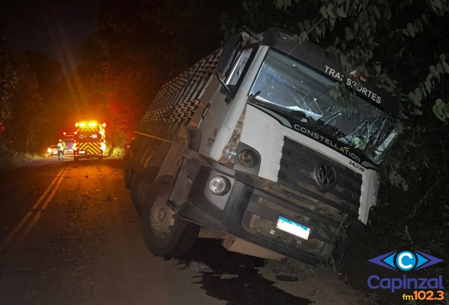 Caminhão carregado de suínos sai da pista na SC-283 e motorista fica ferido em Seara