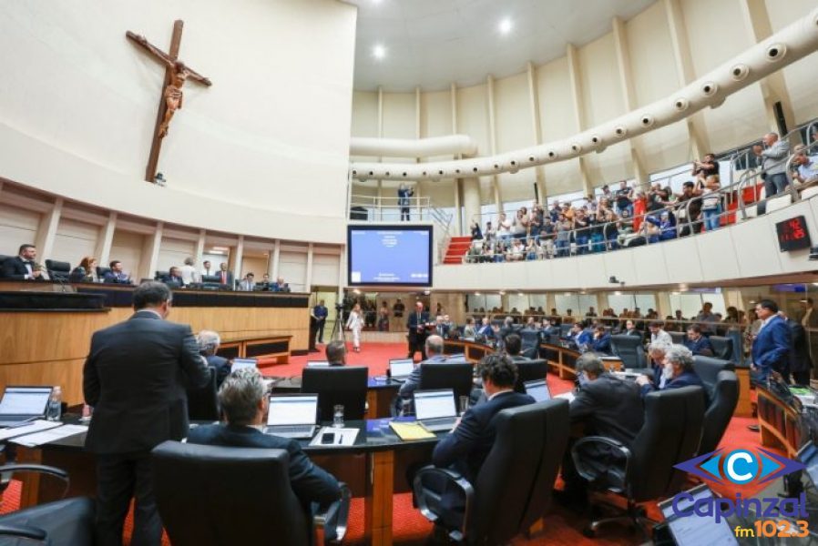 Alesc aprova proibição do uso de leite em pó importado na produção de leite fluido em Santa Catarina