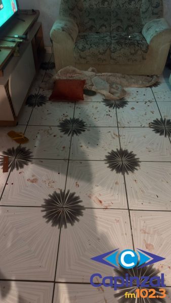 Grávida é esfaqueada pelo companheiro em tentativa de homicídio em Capinzal