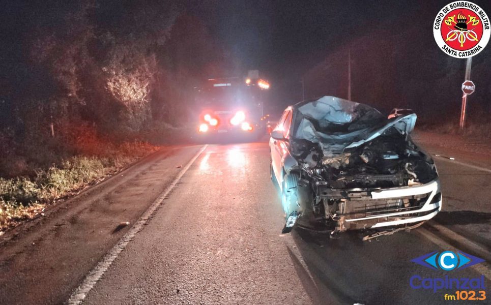 Carro atinge cavalo solto na pista e deixa condutora ferida na SC-355; animal acabou morrendo