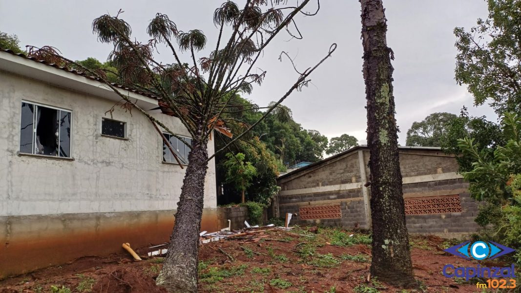 Queda de árvore sobre residência mobiliza Bombeiros em Capinzal