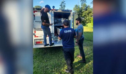  (Foto: Polícia Civil)