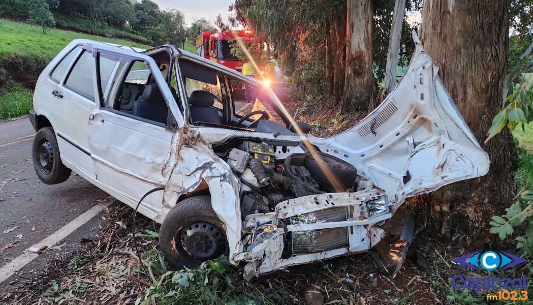 Homem fica ferido após carro sair da pista e colidir contra árvore no interior de Capinzal