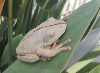 Foto: Leandro Machado 