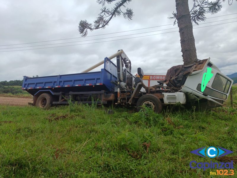 Homem morre após sair da pista e colidir caminhão contra árvore no Oeste de SC