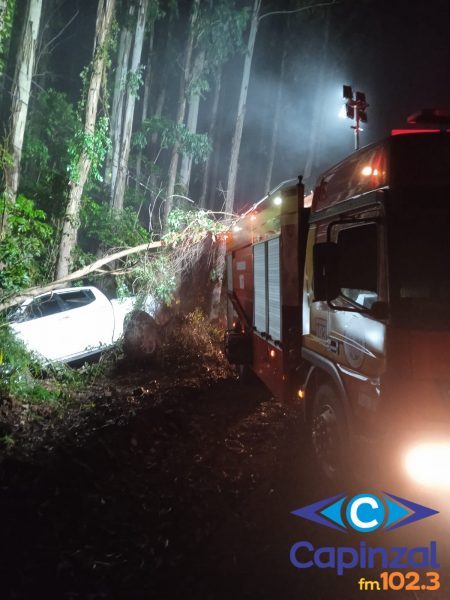 Bombeiros atendem saída de pista seguida de colisão em árvores em Piratuba