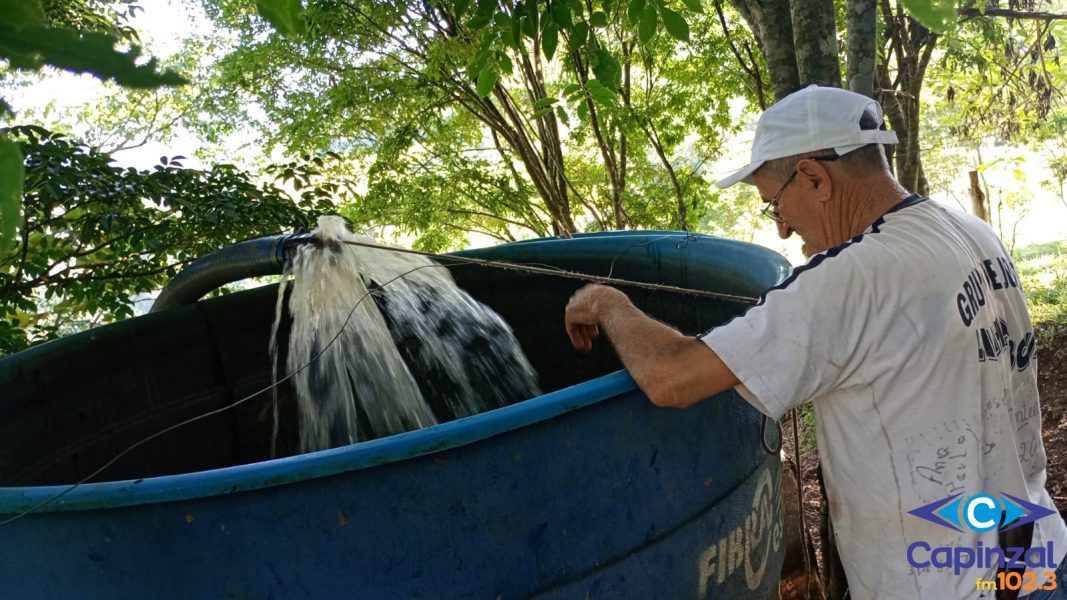 OUÇA: Estiagem obriga transporte de água para animais e antecipa colheita da silagem em Ouro