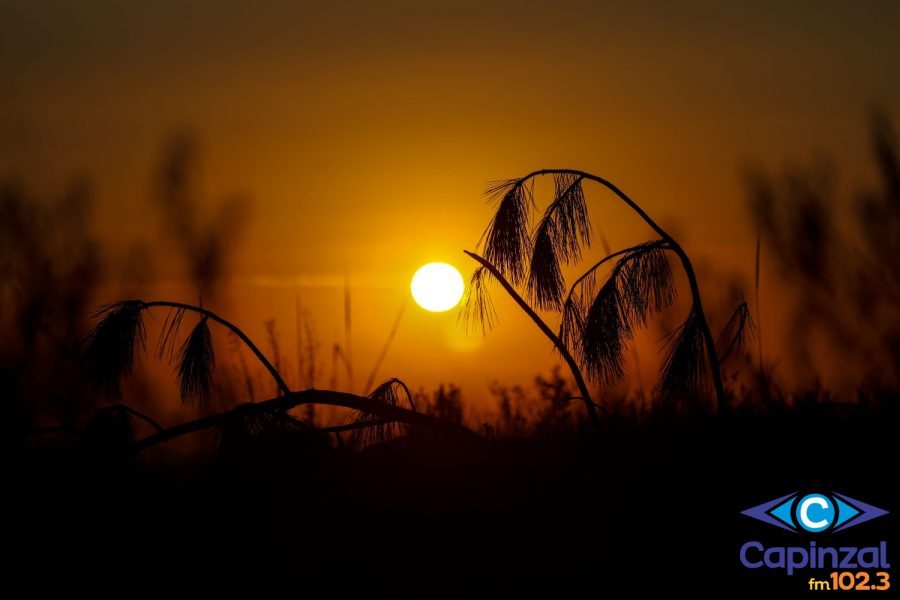 Previsão do tempo: Santa Catarina tem semana de calor intenso e temporais isolados
