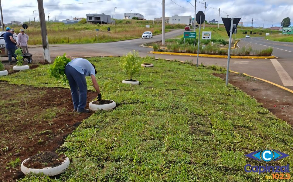 Moradores realizam plantio de grama no trevo de acesso ao Loteamento Recanto dos Pássaros, em Capinzal