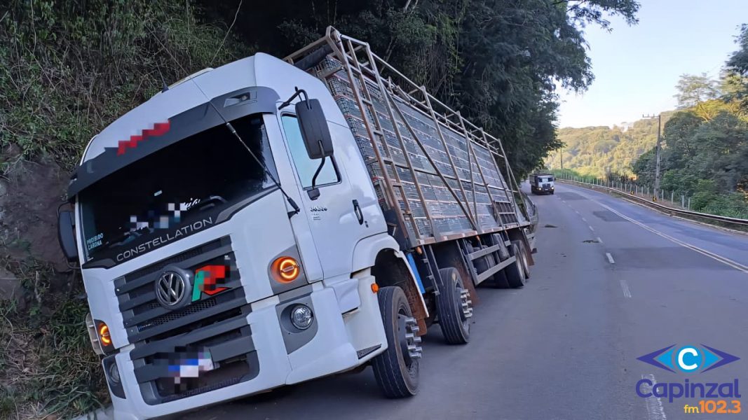 Caminhão carregado com aves apresenta problema mecânico e sai da pista na SC-150, entre Ouro e Lacerdópolis