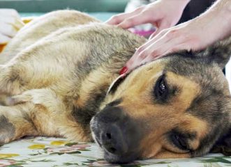 Foto: Ilustrativa/divulgação